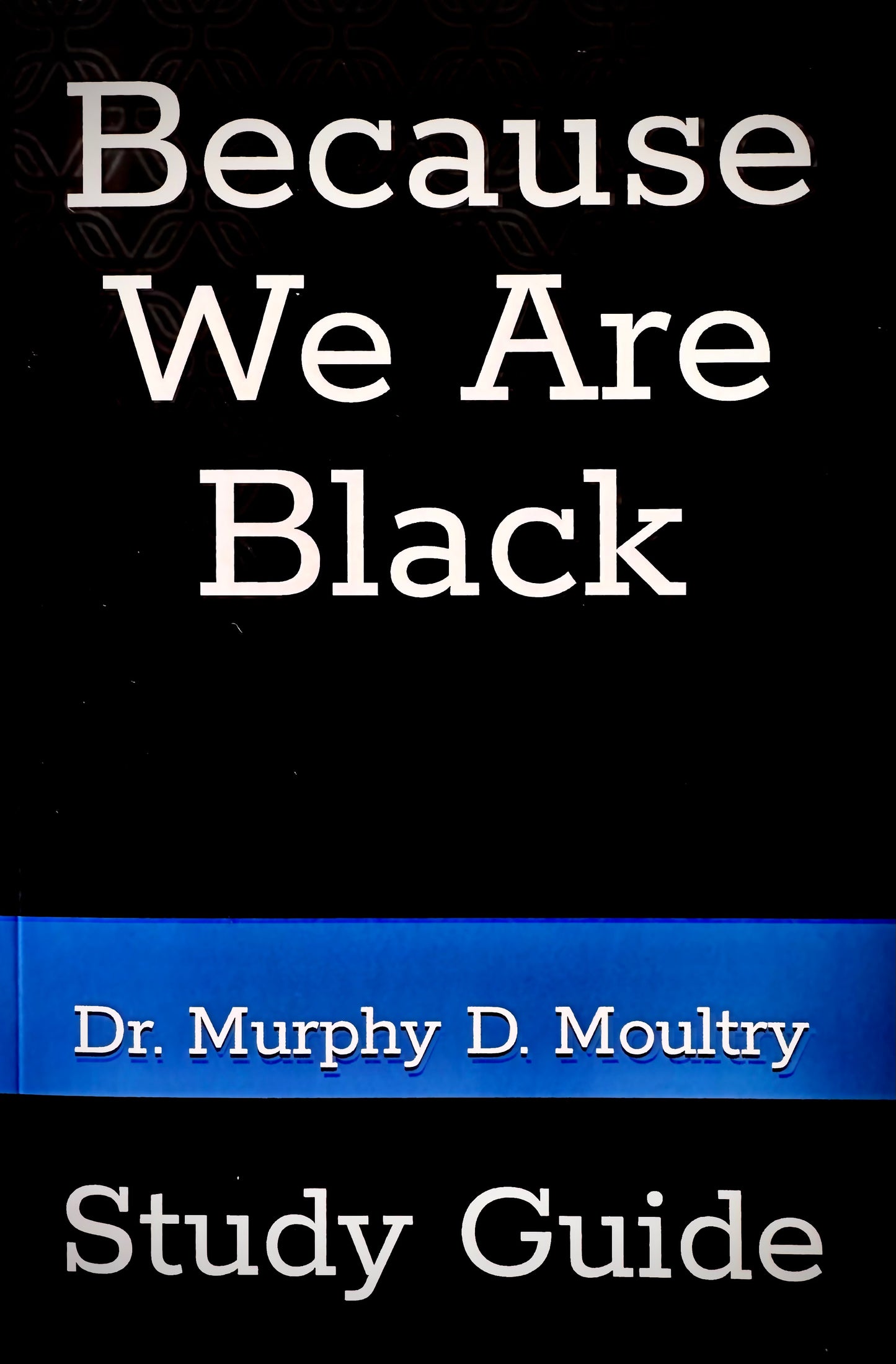 Because We Are Black Study Guide